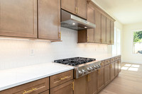 Hedgerow Transitional-10