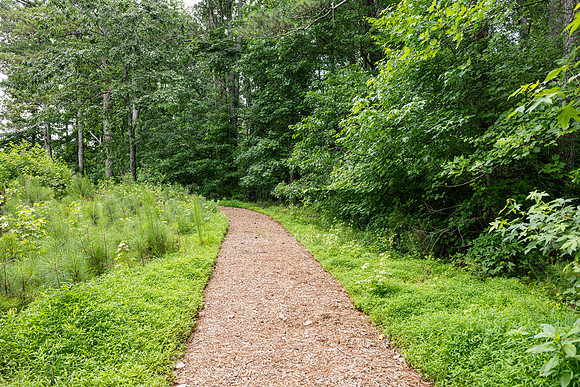 Riverside Ridge-12