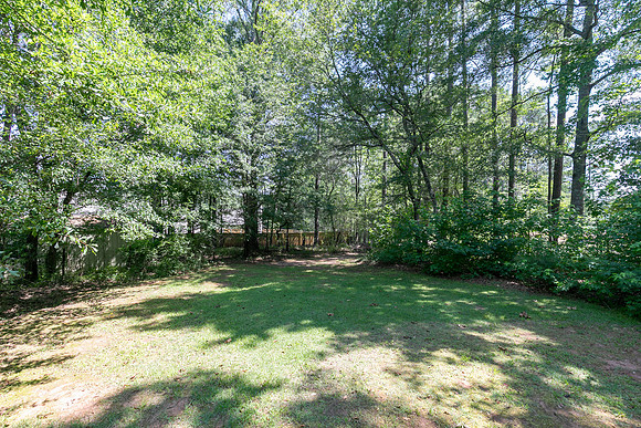 5021 River Rock Way-32