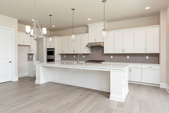Antoinette-19
