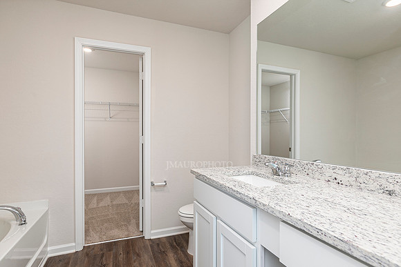 Master Bath-1
