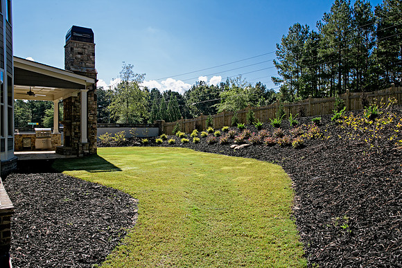 Back Yard-1