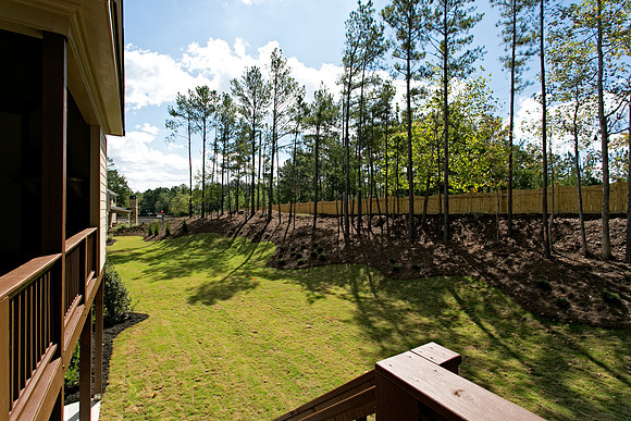 Back Yard-1