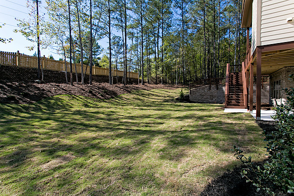 Back Yard-2