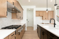 Selbourne Traditional-19