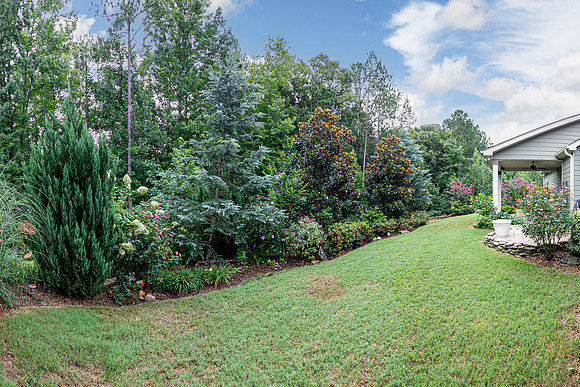 137 Unicoi Way-46