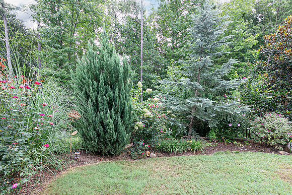 137 Unicoi Way-47