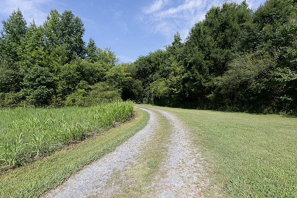 538 Spring Place Rd-72