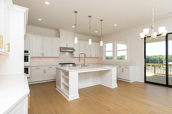 Roswell Transitional-12