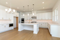 Roswell Transitional-13