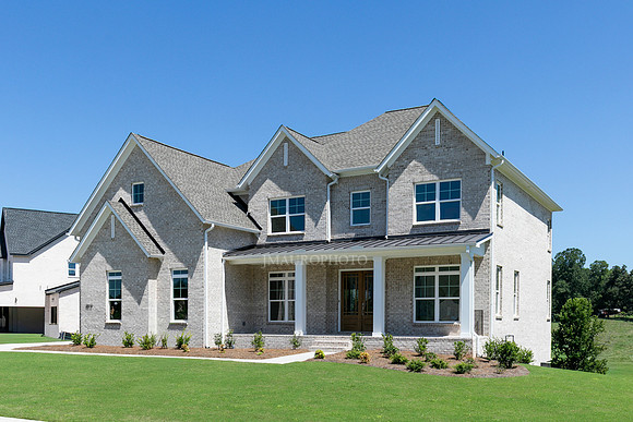 Rosalynn International-2