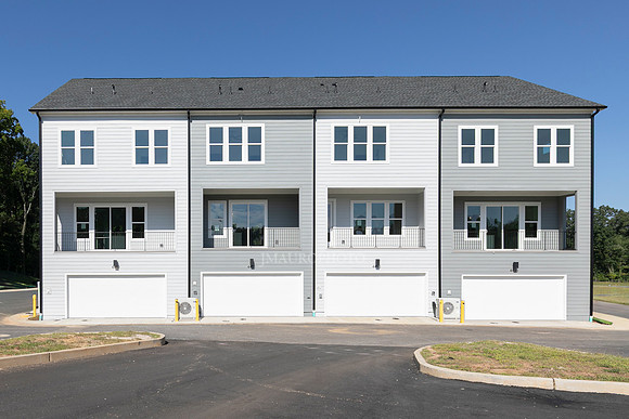 Back Elevation