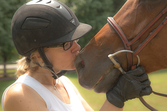 Horse Photography
