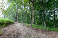 Nature Trail-2