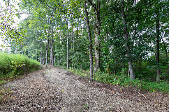 Nature Trail-2
