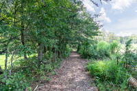 Nature Trail-4