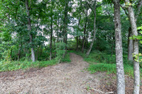 Nature Trail-1