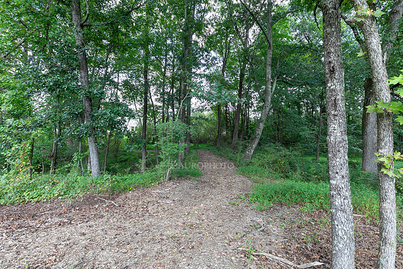 Nature Trail-1