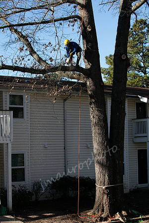 3D4A1218