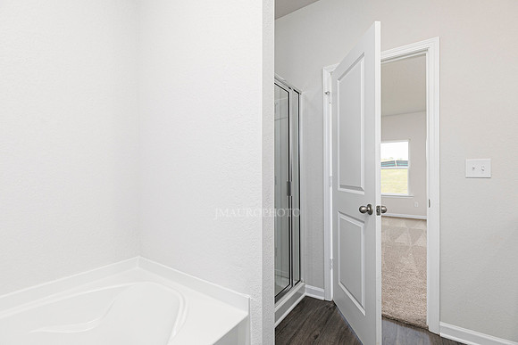 Master Bath-2