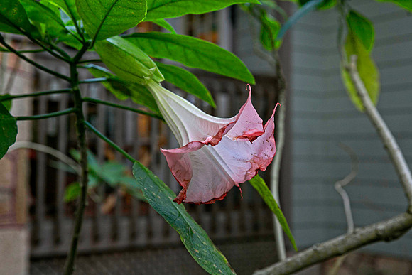 IMG_4746-Edit
