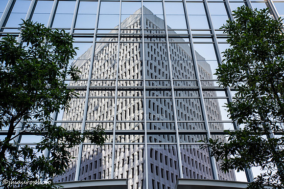 Reflections