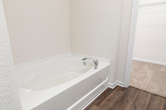 Master Bath-3