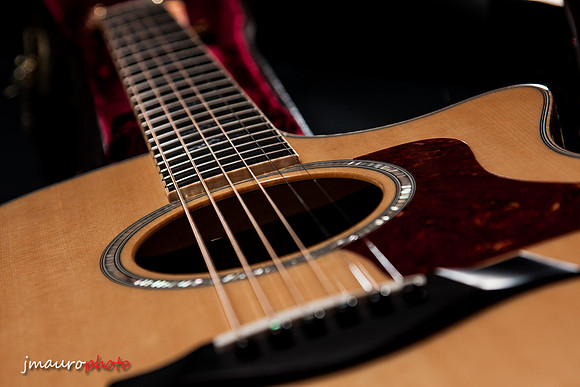 Taylor814ce_78