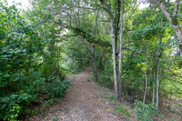 Nature Trail-6