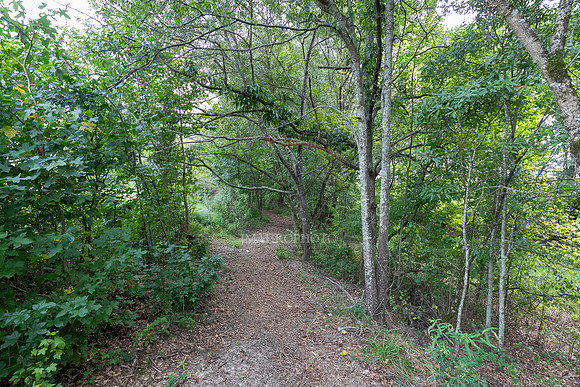 Nature Trail-6