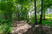 Nature Trail-3
