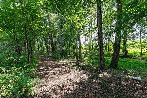 Nature Trail-3