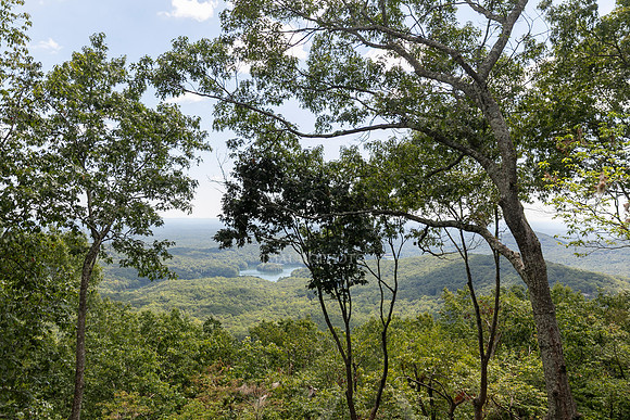 159 Sanderlin Mtn-55