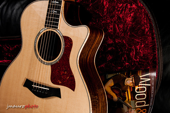 Taylor814ce_40