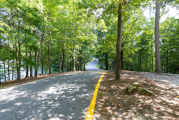 159 Sanderlin Mtn-79