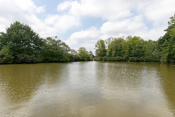 Lake-5