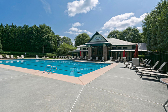 Swimming Pool-1