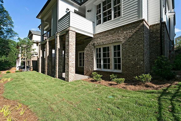 Back Yard-2