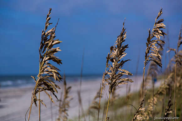 Beachscapes