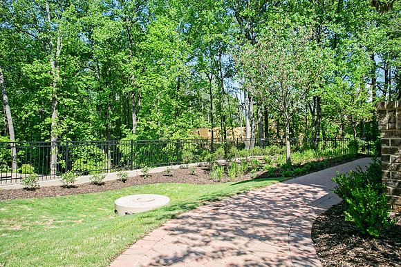 Back Yard-1