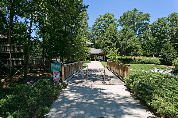 Bridge-1