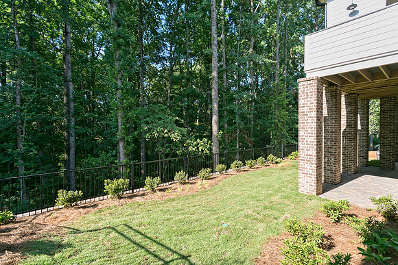 Back Yard-1