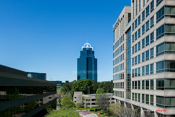 Sandy Springs Queen-2