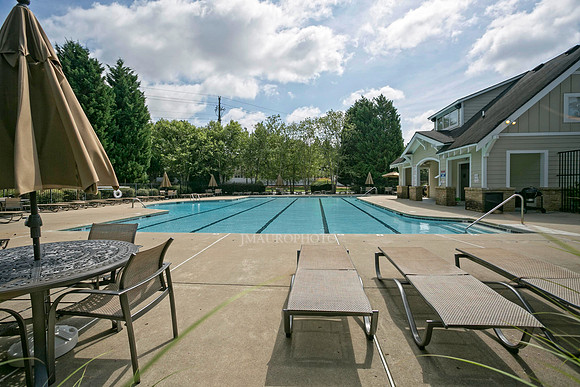 Swimming Pool-1