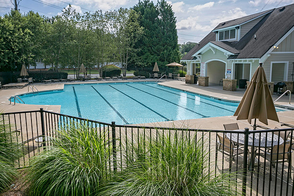 Swimming Pool-2