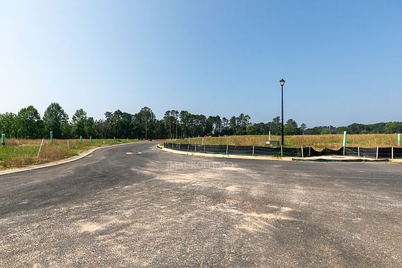 Carlton Crossing-15