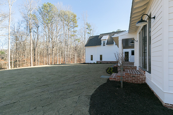 Back Yard-1
