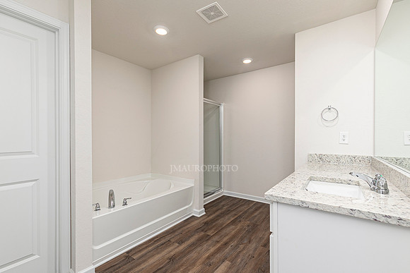 Master Bath-1