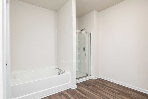 Master Bath-2
