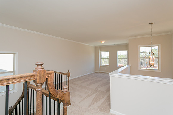 Loft-1